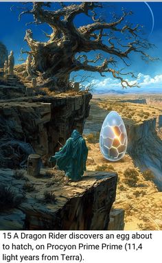 an egg is sitting on the edge of a cliff with a wizard standing next to it