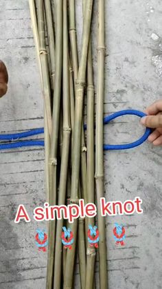 a person is holding a blue rope next to some bamboo stalks on the ground with words that read, a simple knot