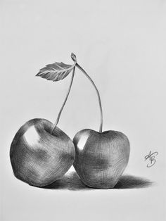 pencil drawing of two cherries with leaves