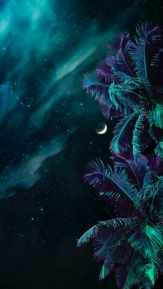 the night sky is filled with stars and palm trees