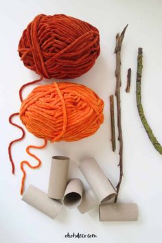 yarn, sticks and twigs laid out on a white surface