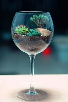 a wine glass filled with plants and rocks