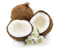 coconuts and flowers on a white background