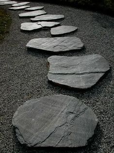 stepping stones are lined up along a gravel path