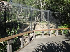 a fenced in area with trees and rocks on both sides, along with a wooden walkway