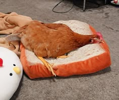 a chicken laying on top of a bed next to a stuffed animal