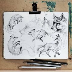 an open notebook with drawings of foxes on it and two pens in front of it