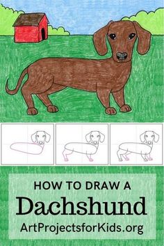 how to draw a dachshund dog in 3 easy steps with pictures for kids