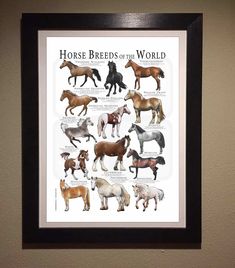 the horse breeds of the world are shown in a black frame