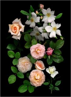 a bunch of flowers that are sitting on a table in front of a black background