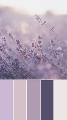 the color palette is lavender and it looks great