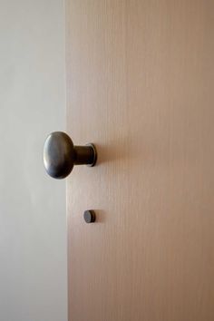 an open door with a black handle on it