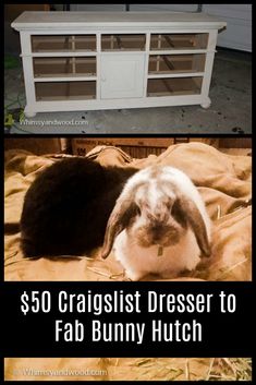 two pictures with the words $ 50 craigist dresser to fab bunny hutch