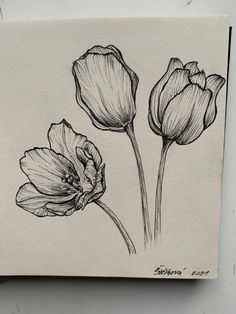 a drawing of three flowers on a piece of paper