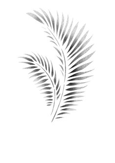 a black and white drawing of a palm leaf