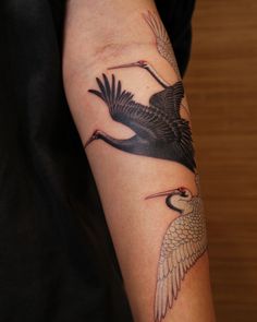 a woman with a tattoo on her arm has a black bird and red beaks