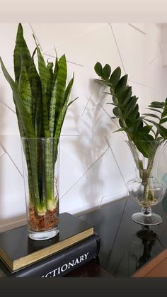 two plants in vases sitting on a table next to a book and other items