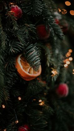 an orange cut in half sitting on top of a christmas tree