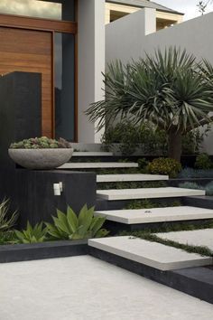 some plants and concrete steps in front of a house