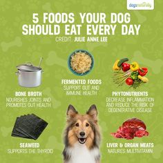 a dog is shown with the words 5 foods your dog should eat every day on it