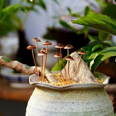 small mushrooms growing out of a potted plant in a garden ornament on a table