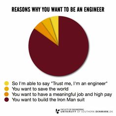 a pie chart with the words reason why you want to be an engineer