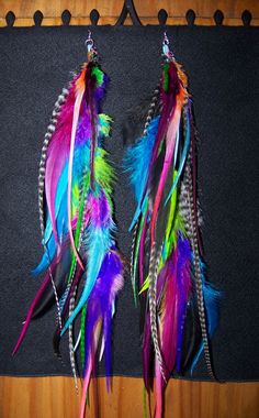 two colorful feathers hanging from hooks on a wall