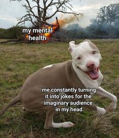 a pitbull dog sitting in the grass with its tongue out and captioning that it is mental health