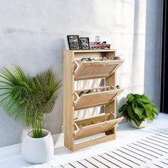 a wooden shelf with several compartments on it next to a potted plant