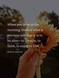 someone holding a sunflower in their hand with the quote when you are in the morning, think of what a precious pril