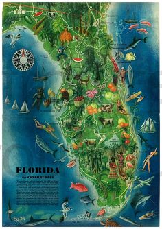 an illustrated map of florida with all the major cities and towns on it's side