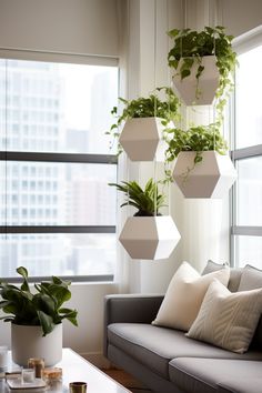 a living room filled with furniture and hanging plants