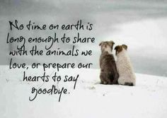 two small dogs sitting in the snow with a quote written on it that says no time on earth is long enough to share with the animals we love, or prepare our hearts to say goodbye