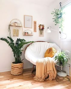 a living room with plants and pictures on the wall