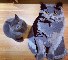 two cats are sitting on the floor next to each other and one is looking up at the camera