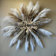 the words hello gorgeous are written in cursive writing on a wall with feathers