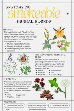 an info sheet with different types of flowers