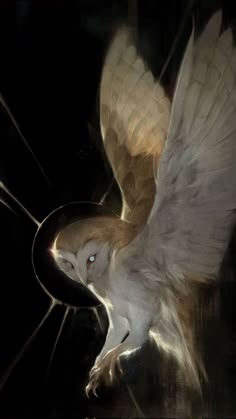 an owl flying through the air with its wings spread