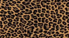 an animal print fabric with brown and black spots on it's fur, showing the pattern