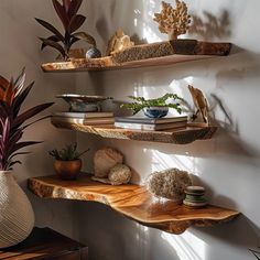 three wooden shelves with plants and books on them