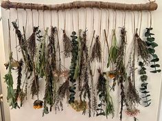 a bunch of dried flowers hanging on a wall