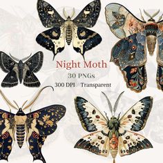 the moths are all different colors and patterns, but there is no image to describe