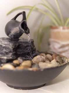 a bowl filled with rocks and water next to a potted plant