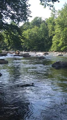 a river with rocks and trees in the background