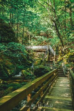 a wooden walkway in the woods leading to a bridge