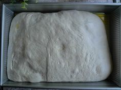 an uncooked loaf of bread sitting in a pan on the floor next to a plant