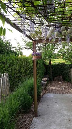 an outdoor area with some plants and flowers on the pergolated roof over it