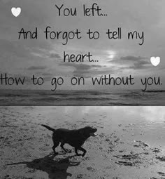 a black and white photo with a dog on the beach next to an image of two hearts