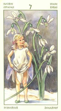 Snowdrop Fairy, Snow Drops Flowers, Drop Flowers, Tarot Swords, Tarot Zodiac, Symbolic Art, Flower Drawing Tutorials, Flowers Drawing