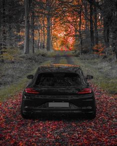 a black car parked on the side of a road surrounded by trees and fallen leaves